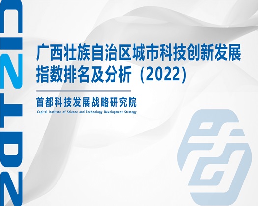 业余高潮汇编人妖【成果发布】广西壮族自治区城市科技创新发展指数排名及分析（2022）